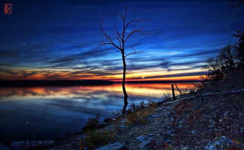 beauty in nature, tranquility, bare tree, united states, outdoors, tranquil scene, Scene, non-urban scene, golden, lake, orange color, hour