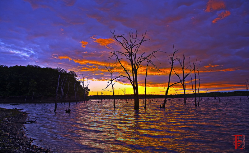 Travel, reflection, sky, water, dead tree, Kansas, Trees, Beautiful, Landscape, Rock, Lawrence, scenics - nature, cloud - sky, outdoors, Scene, Lake, Clinton Lake