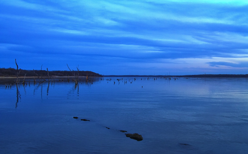 Nature, Water, bird, animal, clouds, tranquil scene, outdoors, Clinton Lake, Lawrence, United States, Landscape, beauty in nature, Blue, animals in the wild