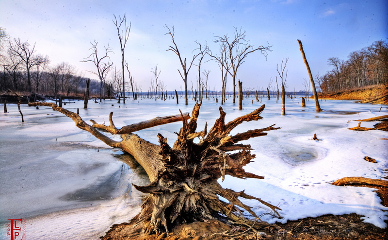 Nature, ice, trees, Tree, Clinton Lake, Travel, bare, plant, no people, Seasons, departed, Winter, cold temperature, frozen, bare tree, day, brown, scenics - nature