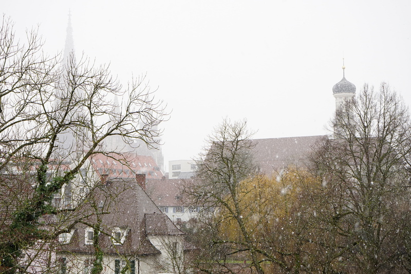 plant, ulm cathedral, travel destinations, slurry, sky, Winter, spire, architecture, bare tree, snowing, tree, built structure, snow, religion, cold temperature