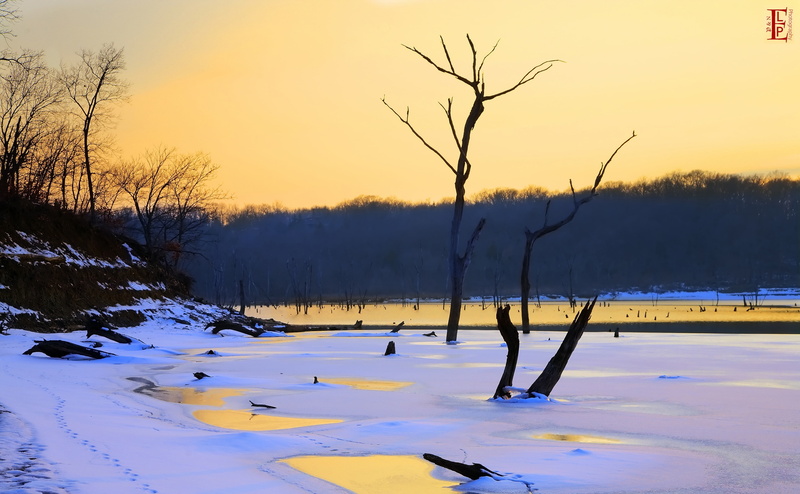 tranquil scene, plant, Scene, black, united states, Clinton Lake, Trees, Seasons, Footprints, 4K, tranquility, outdoors, Scenery, Winter, sunset, bare tree