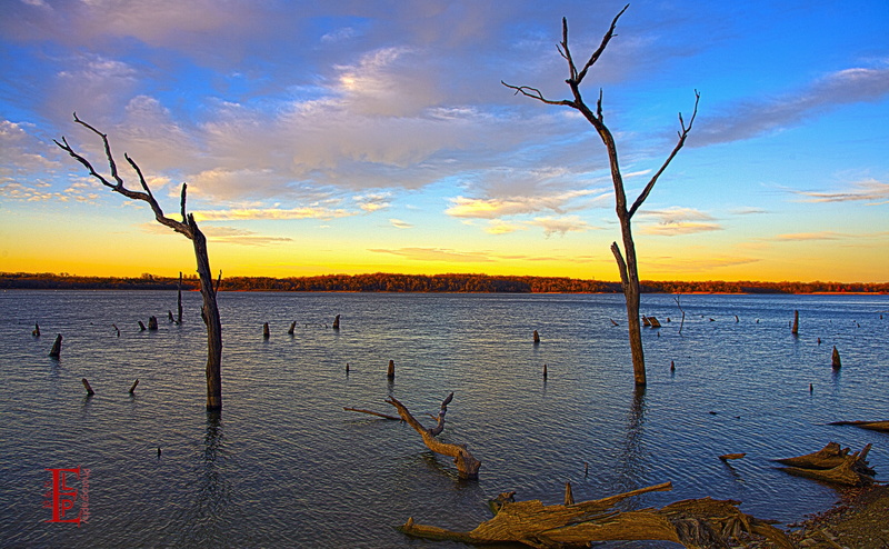 bare tree, Travel, beauty in nature, Beautiful, sunset, tranquility, Scenery, scenics - nature, Scene, Kansas, Tree, Lawrence, Nature, Landscape, cloud - sky
