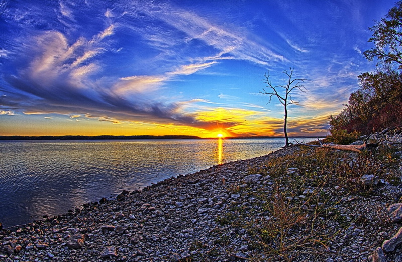 Night, Nature, horizon over water, bare tree, beauty in nature, Travel, gray, Scenery, beach, near, dead tree, cloud - sky, water, lot, tranquil scene