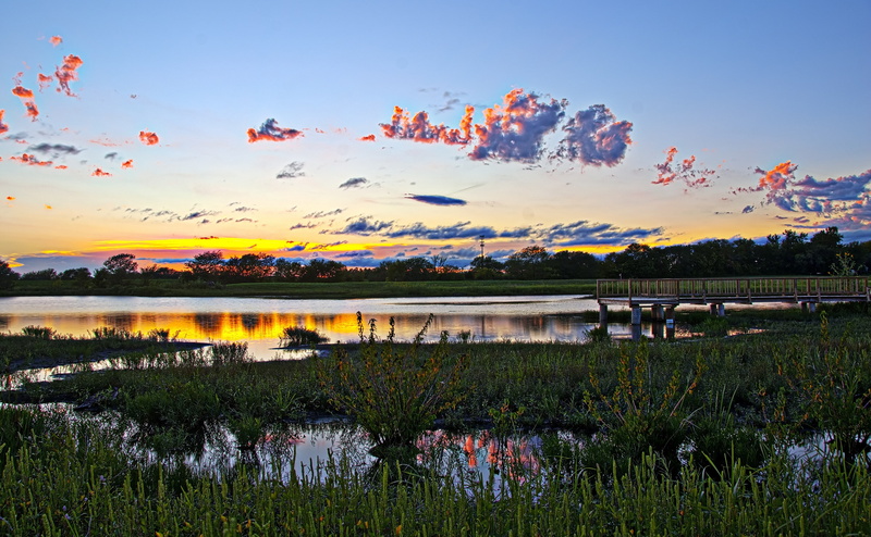 cloud - sky, Travel, scenics - nature, Scenery, Wakarusa Wetlands, 4K, growth, environment, water, grass, Landscape, Beautiful, no people, leafed, sky