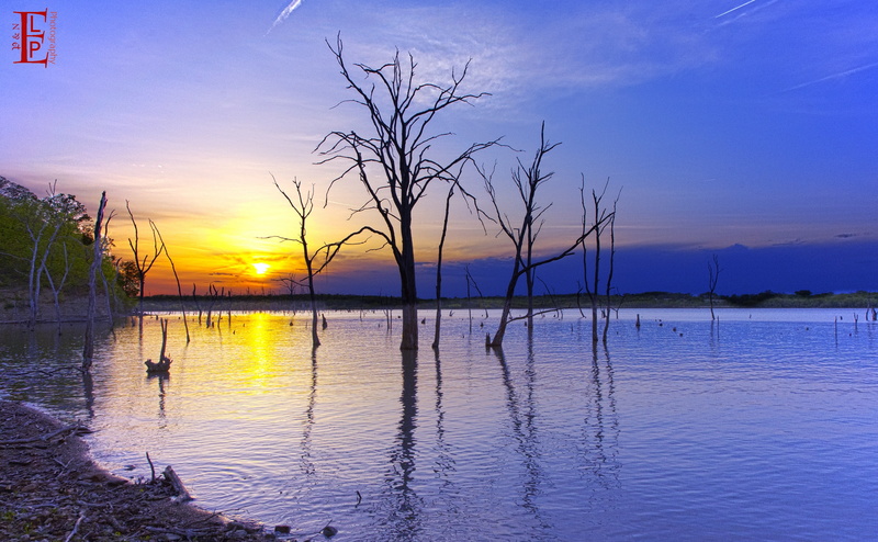 animal themes, 4K, water, Lawrence, Reflection, tranquil scene, Lake, no people, animals in the wild, silhouette, Kansas, scenics - nature, cloud - sky