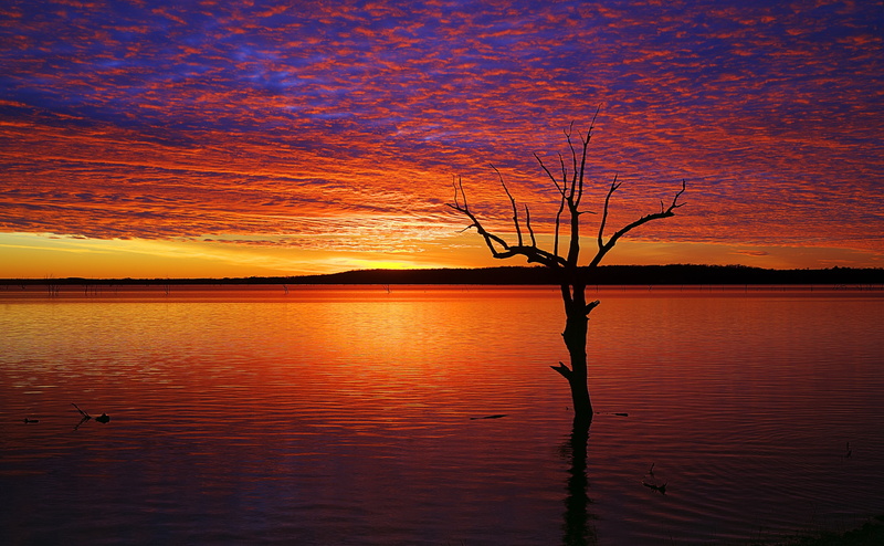 outdoors, cloud - sky, Red Sunset, silhouette, Clinton Lake, reflection, painting, Sunset, lake, Nature, Landscape, Travel, dead plant, orange color, United States