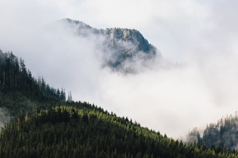 forest, trees, outdoors, mountain Peak, nature, thick, Washington, Pacific Northwest, 5K, Float On, clouds, Canon EOS 5D Mark III, landscape, covered