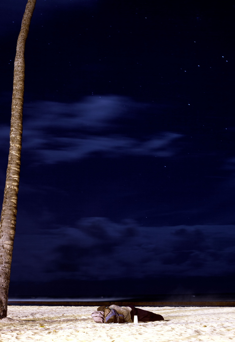 vertebrate, domestic, beauty in nature, placid, scenics - nature, sea, night, stars, nature, water, no people, domestic animals, animal, 4K, tranquil scene