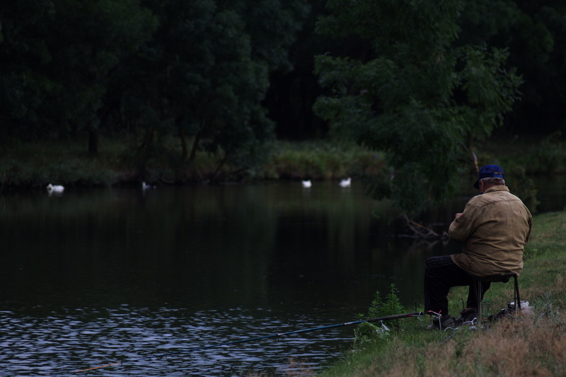 lake, men, leisure activity, adult, placid, one person, tree, trees, nature, 4K, plant, rear view, man, real people, landscape, sitting, fishing rod, water