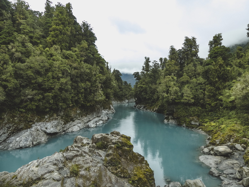 daylight, scenic, no people, beauty in nature, day, trees, stream, new zealand, idyllic, tranquility, scenics - nature, river, green color, growth, 4K