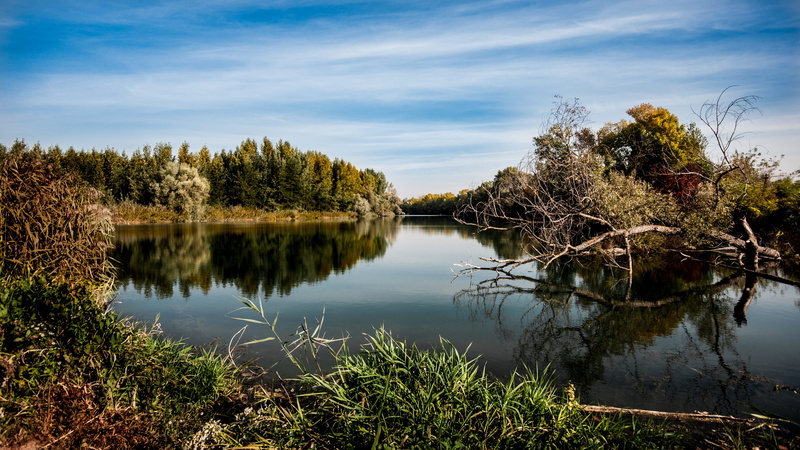 landscape, scenic, tree, reflection lake, sky, cloud - sky, pool, scenics - nature, day, nature, trees, no people, water, outdoors, travel, fall, reflection