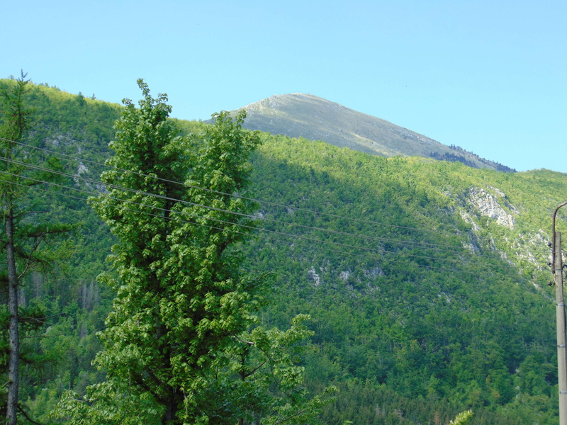 land, mountains, lush foliage, non-urban scene, green color, foliage, mountain, no people, environment, sky, tree, beauty in nature, rtanj, planina, top
