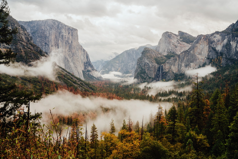 no people, fog, mist, tranquility, tree, outdoors, scenics - nature, overlooking, aerial, yosemite, tranquil scene, beauty in nature, photography, mountain range