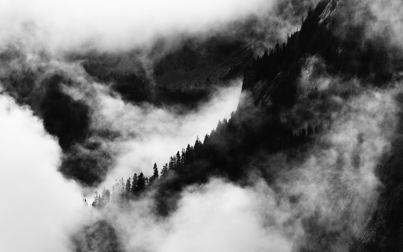 misty, overcast, covered, scenics, landscape, mountains, cloudy, pnw, trees, woodland, washington state, noir, foggy, black And White, sky, pacific northwest