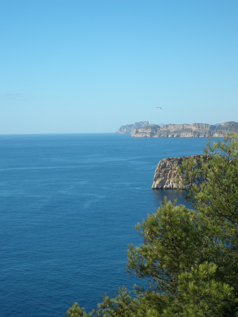 horizon over water, water, horizon, land, 2K, clear sky, scenics, Costa Blanca, outdoors, no people, tranquility, plant, day, blue, nature, sky, idyllic