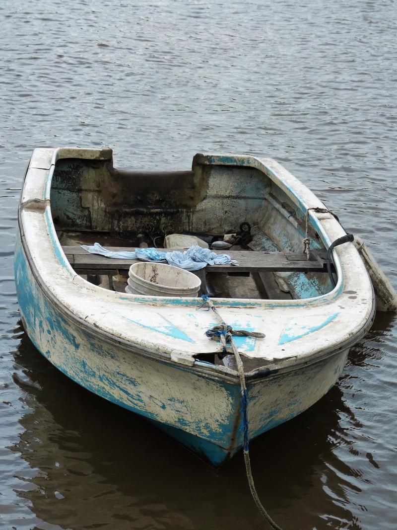 Boat, Nature, rippled, mode of transportation, outdoors, lake, rowboat, tranquility, brown, nautical vessel, Adventure, río luján, transportation, 4K