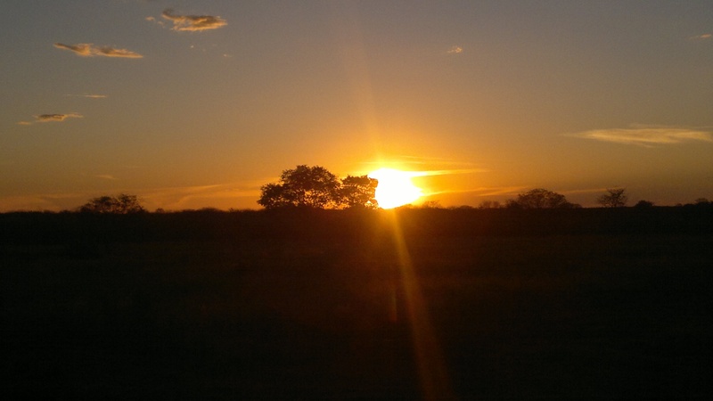 montes claros, tranquility, no people, outdoors, sunbeam, plant, landscape, sky, tranquil scene, beauty in nature, sunset, environment, sunlight, afternoon