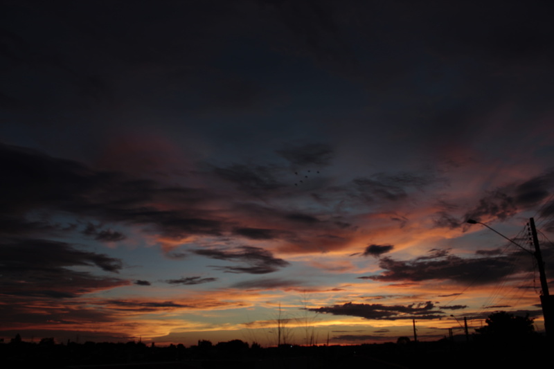environment, beauty in nature, nature, tranquil scene, non-urban scene, dramatic sky, rio claro, low angle view, brazil, orange color, silhouette, afternoon
