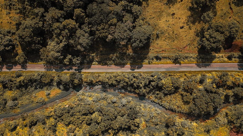 road, high angle view, autumn, landscape, nature, no people, day, ground, water, idyllic, sunlight, outdoors, growth, beside, vegetation, rod. josé pereira da silva