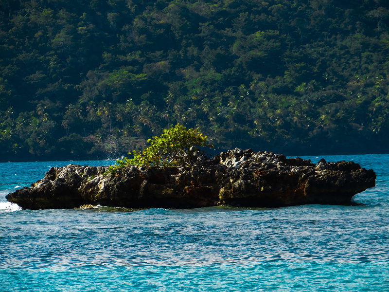 ocean, rock - object, tree, tranquility, 4K, day, solid, water, sea, rock, idyllic, land, beauty in nature, beach, plant, tranquil scene, playa, outdoors