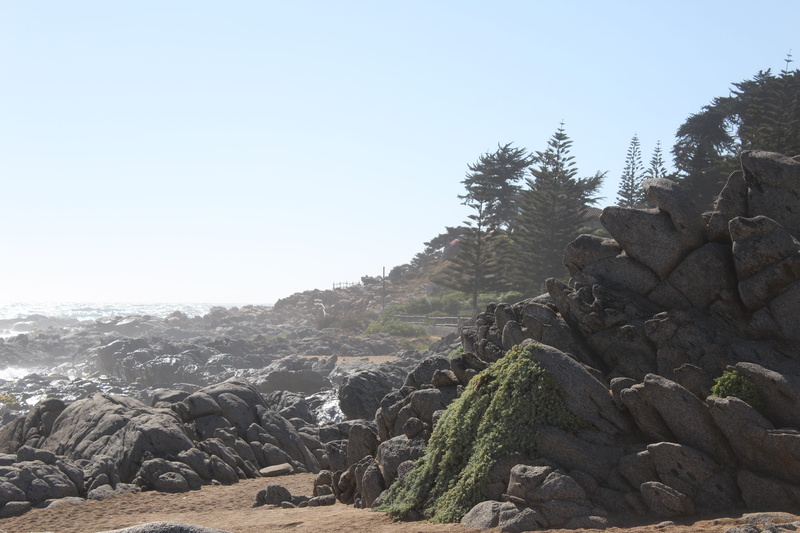land, beauty in nature, nature, tree, trees, rock - object, copy space, rock, eroded, sky, tranquility, non-urban scene, clear sky, no people, tranquil scene