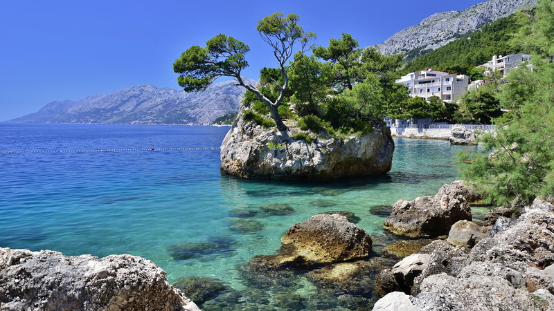 arboles, isleta, rocas, naturaleza, 2K, mar