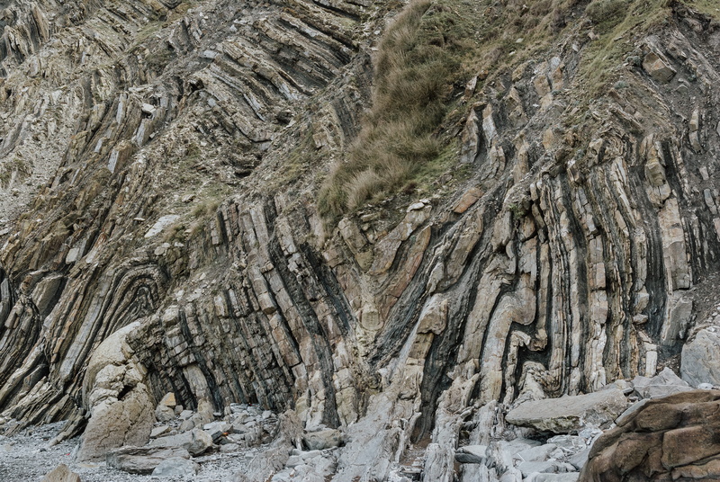 plant, nature, tranquility, 4K, estratos, environment, folds, scenics - nature, outdoors, geology, formation, barrika, textured, natural pattern, bizkaia