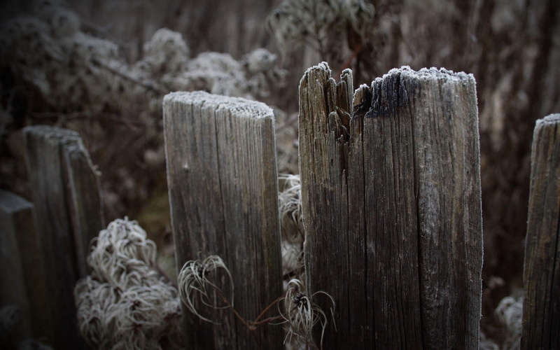 wooden post, boards, hoarfrost, old-fashioned, backgrounds, weathered, focus on foreground, outdoors, wood - Material, barrier, wood, day, nature, protection