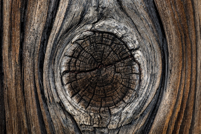 boards, log, branch, rough, full frame, plank, backgrounds, wood, textured, outdoors, plant, old, 2K, circle, material, beige, boards bridle, weathered