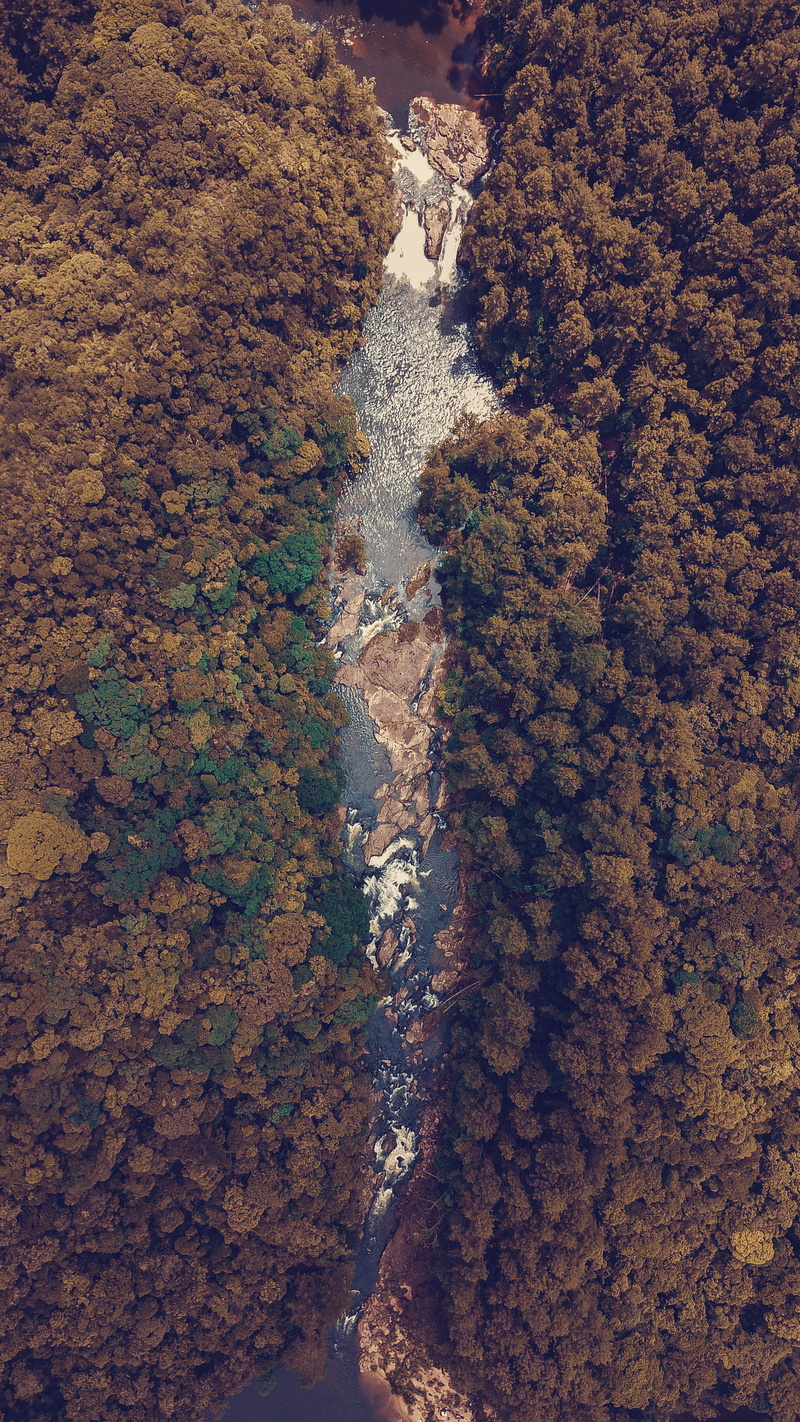tranquility, trees, mountain, minecraft, 4K, fractal, tranquil scene, day, no people, rock, pattern, scenery, rug, travel destinations, nature, algae