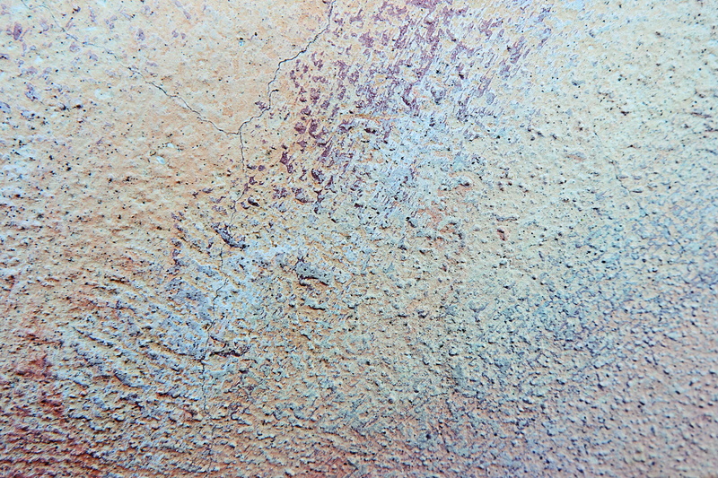 invertebrate, rust, bad condition, no people, algae, textured, clean, canvas, rock, concrete, high angle view, mold, old, abstract, backgrounds, insect