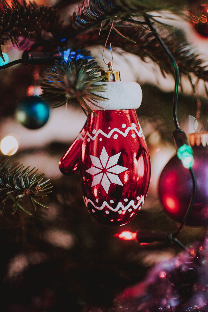 trip, home decor, ornament, christmas, indoors, glove, red, christmas tree, decoration, human, holiday, close-up, holiday - event, pine, accessory, abies