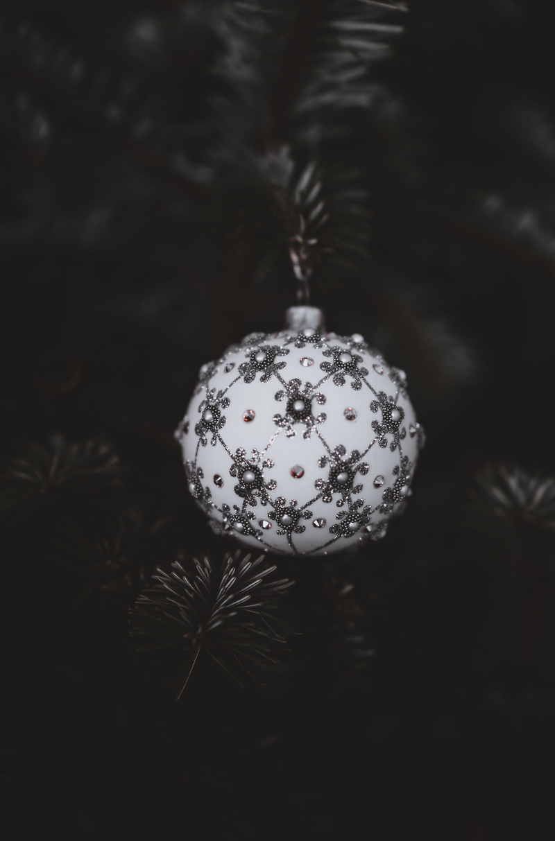sphere, celebration, conifer, hanging, glitter, holiday - event, christmas ornament, bauble, close-up, pine, ornament, fractal, focus on foreground, no people