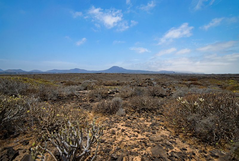 sky, day, non-urban scene, blue, environment, africa, beauty in nature, lava, idyllic, spain, lanzarote, canary islands, growth, semi-arid, land, remote