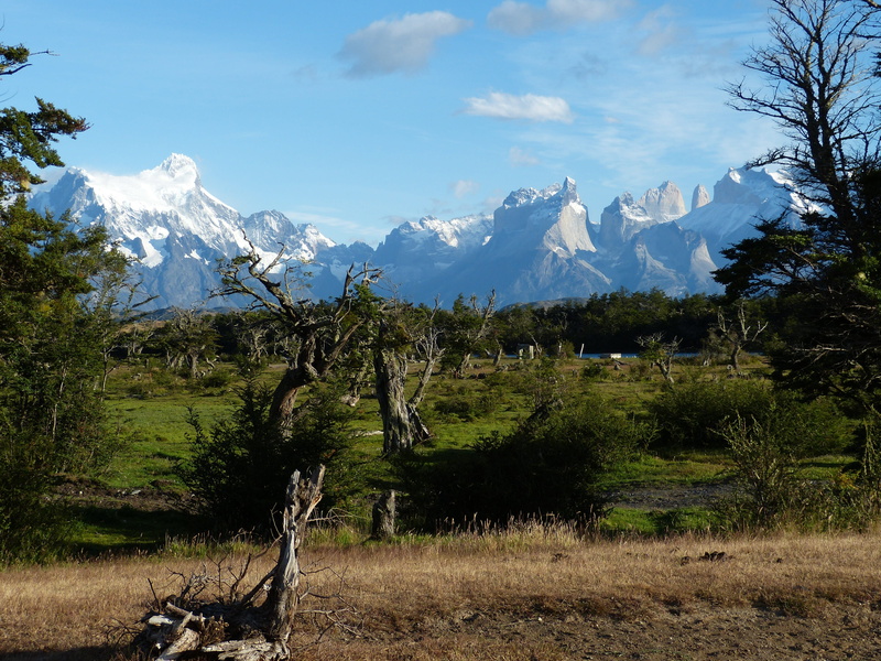 snowcapped mountain, growth, outlook, mountain peak, tranquil scene, sky, mountains, national park, scenics - nature, outdoors, grass, non-urban scene