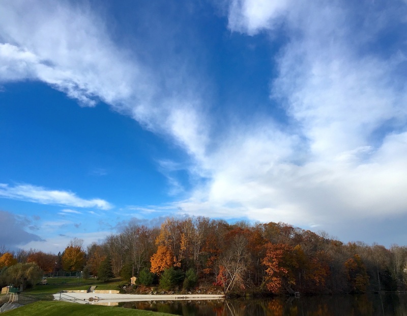 color, america, foliage, water, non-urban scene, park, outdoors, nature, beauty in nature, scenic, lake, tranquility, sky, forest, change, autumn, environment