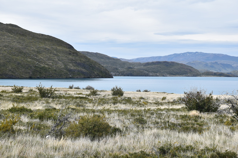 no people, grass, mountain panorama, lake, chile, nature, water, beach, growth, south america, outdoors, mountain, land, non-urban scene, lago grey, landscape