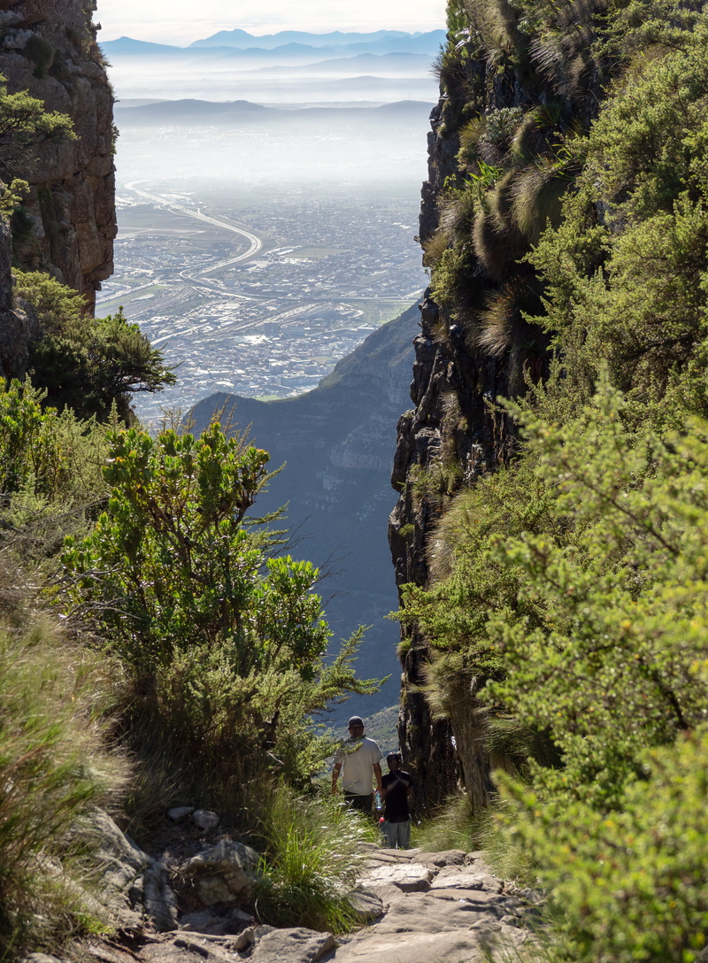 vacation, land, idyllic, sky, beauty in nature, tree, plant, table mountain, water, scenics - nature, landscape, tranquility, growth, platteklip gorge