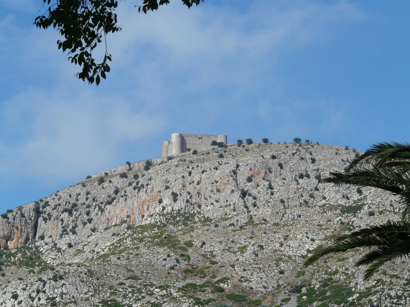del castillo montgri, fortress, outdoors, catalonia, ruined, crusader, tree, torroella de montgri, low angle view, height burg, wall, fort, day, plant