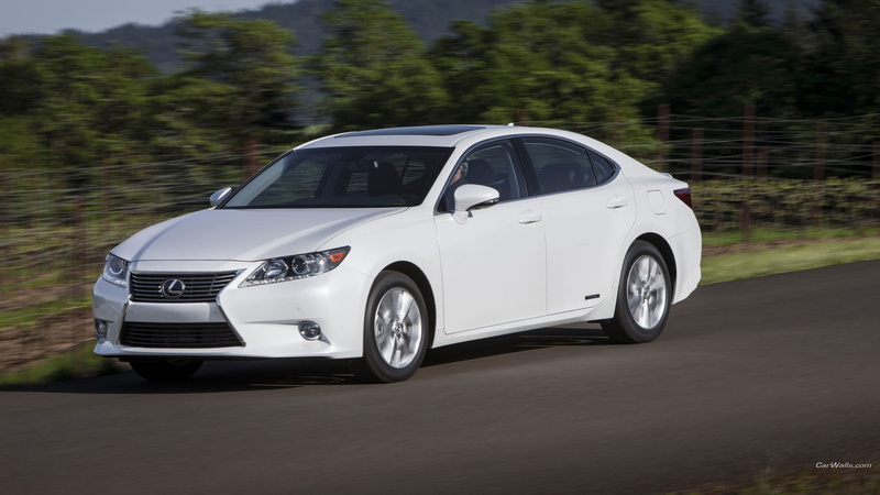 plant, transportation, white cars, land, stationary, motion, silver colored, Lexus, speed, car, wheel, city, tree, Lexus ES300h, no people, mode of transportation