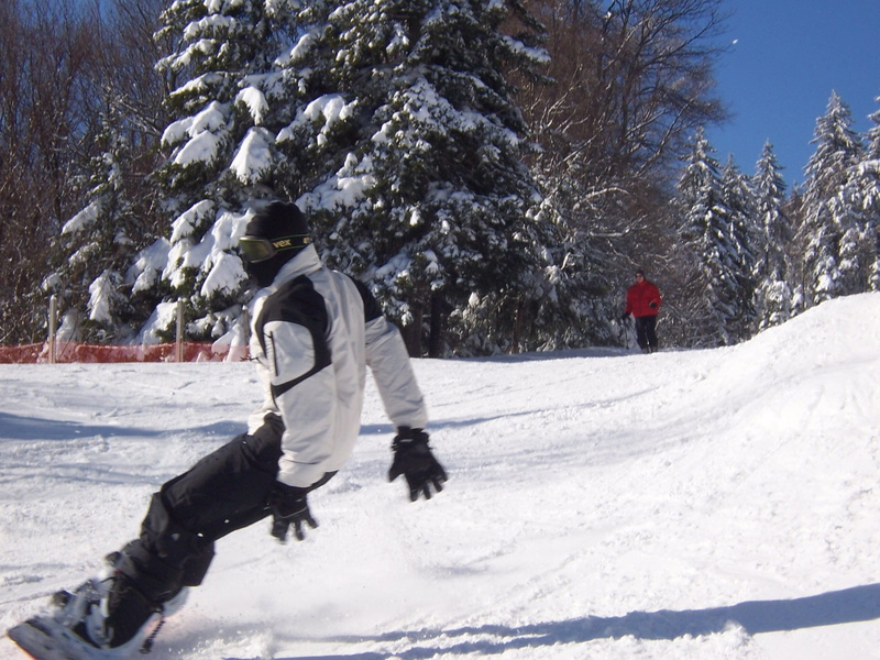 snow boarder, clothing, real people, leisure activity, seven springs, mountain, sport, nature, day, tree, lifestyles, winter sport, outdoors, winter, skiing