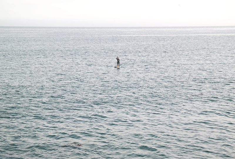 sky, scenics - nature, tranquility, person, waterfront, vacations, body, body of water, surf, animals in the wild, horizon, tranquil scene, vertebrate