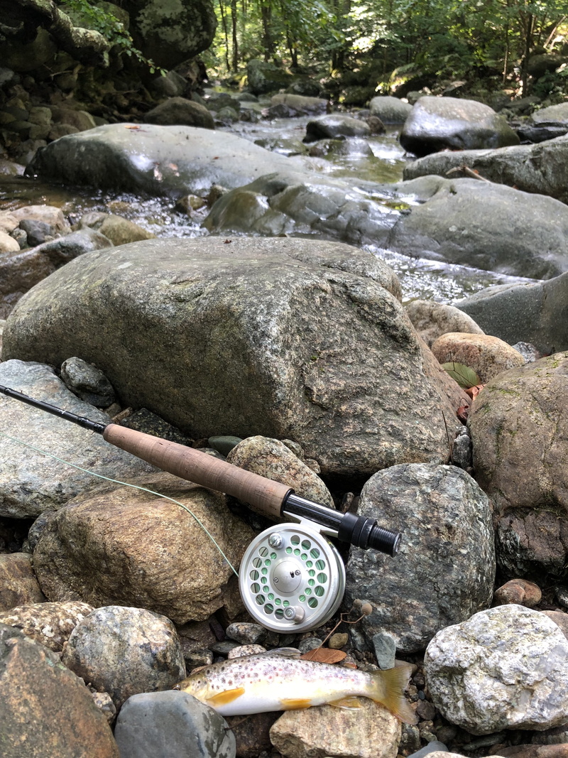 stone - object, land, rock - object, rock formation, solid, gauge, day, pebble, flowing water, virgina, outdoors, trout, fishing, circle, stone, reel, instrument of time