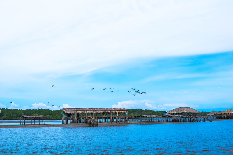 architecture, beach, animals in the wild, bird, turquoise colored, mar, building exterior, nature, lake, playa, water, hotel bahia del sol, group of animals