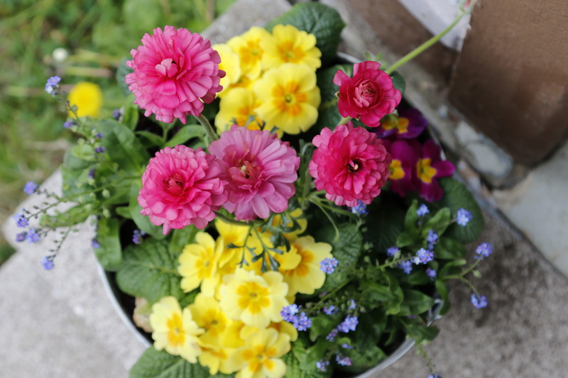dekoration, flowering plant, gardening, floral design, inflorescence, outdoors, yellow, bunch, plant, multi colored, outside, floral arrangement, flowers