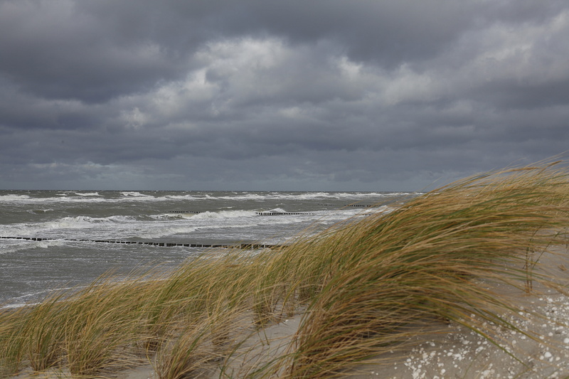 wild, darß, horizon over water, water, overcast, tranquility, sky, grass, cloud - sky, dunes, landscape, wave, 5K, west beach, sea, scenics - nature, forward