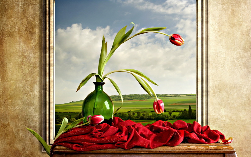 life, artistic, digital, vase, sky, clouds, ledge, nature, color, red, fields, shelf, petals, window, hills, landscapes, flowers, manipulation, 1080P