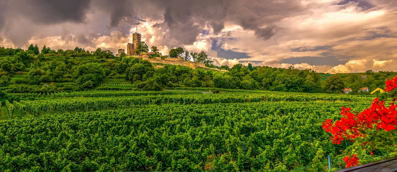 plantation, rural Scene, green color, hill, no people, squall line, farm, home guard, tree, beauty in nature, castle, food and drink, nature, garden, cloud - Sky