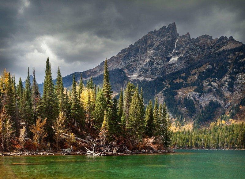 clouds, mountain peak, pine woodland, pine tree, tranquility, coniferous tree, remote, plant, idyllic, trees, lake, forest, mountain range, summer, storm